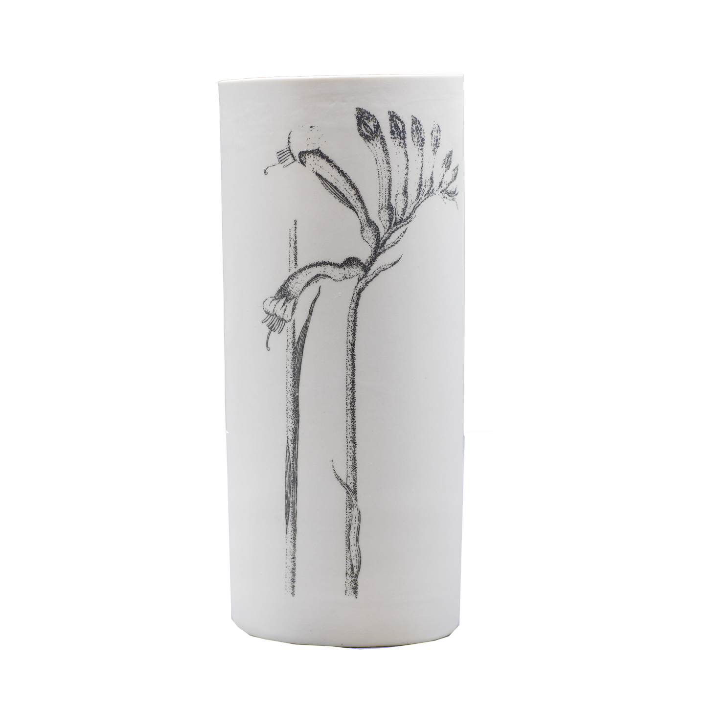 Illuminator Vase Tall Kangaroo Paw