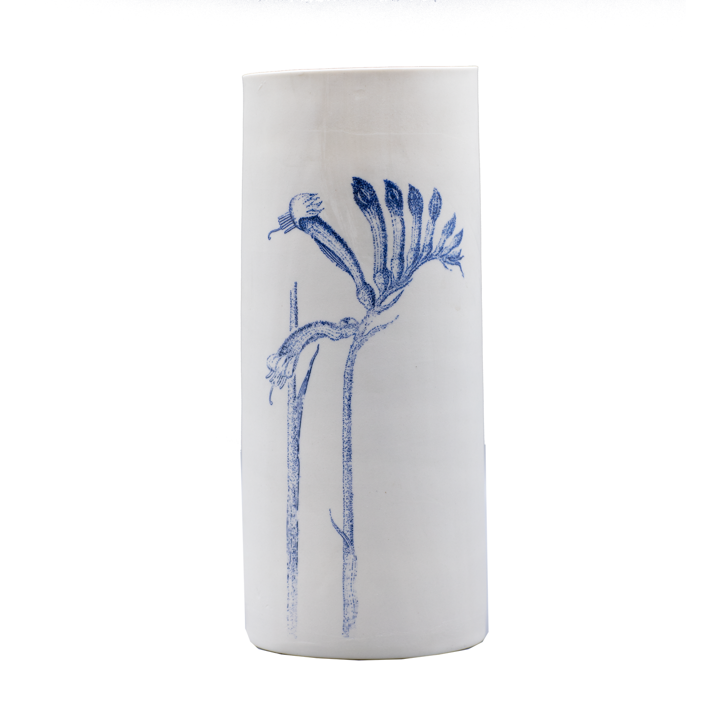 Illuminator Vase Tall Kangaroo Paw
