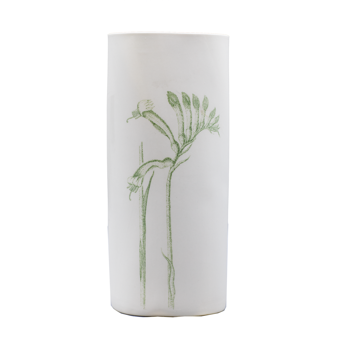 Illuminator Vase Tall Kangaroo Paw