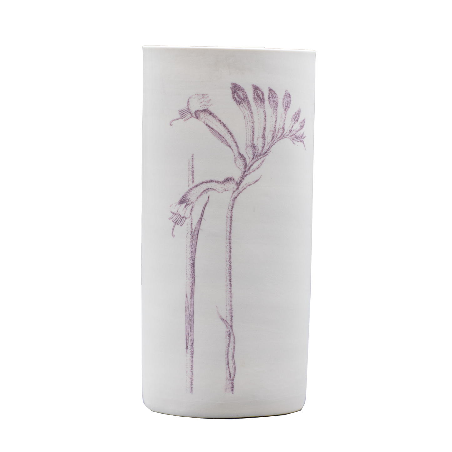 Illuminator Vase Tall Kangaroo Paw